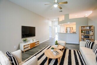 22753 Beltrees Ct in Land O Lakes, FL - Building Photo - Building Photo
