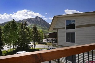 721 Gothic Rd in Crested Butte, CO - Building Photo