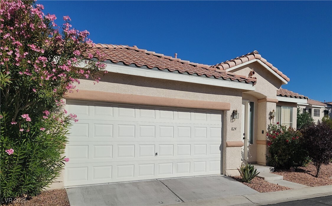 824 Painted Vista Ave in Las Vegas, NV - Building Photo