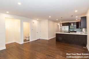 28 Albion St in Medford, MA - Building Photo