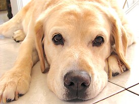 653 TX-337 Loop in New Braunfels, TX - Building Photo