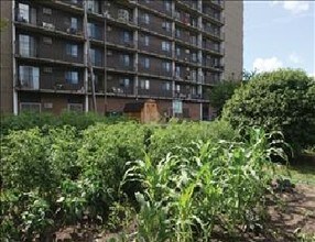 Kingsbury Towers in Cleveland, OH - Building Photo - Building Photo