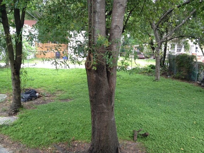 1212 E 18th Ave in Tampa, FL - Building Photo - Building Photo