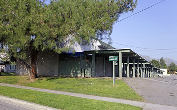 Mountain Pines in San Bernardino, CA - Building Photo - Building Photo