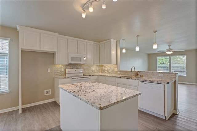 1005 Live Oak Dr in Anna, TX - Building Photo - Building Photo