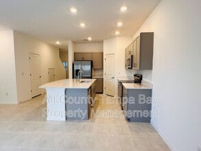 2187 Hallier Cv in Wesley Chapel, FL - Building Photo - Building Photo