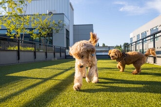 Centerline in Seattle, WA - Building Photo - Building Photo