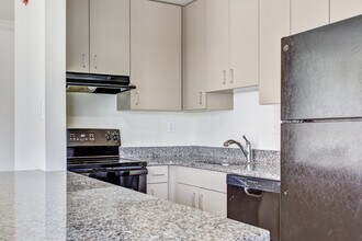 The Amsterdammer in Ann Arbor, MI - Building Photo - Building Photo