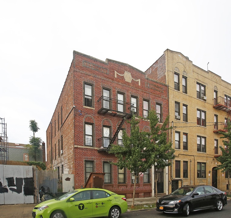 1010-1014 Hegeman Ave in Brooklyn, NY - Building Photo