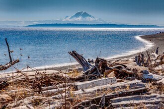 305 Weaver Rd NW in Bainbridge Island, WA - Building Photo - Building Photo