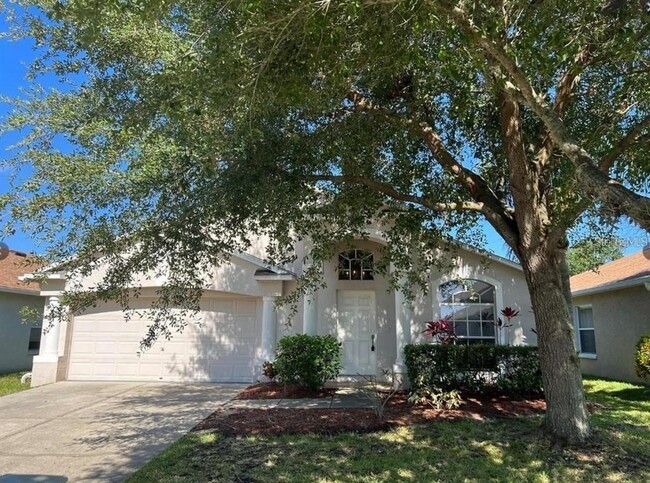 7347 Pulteney Dr in Wesley Chapel, FL - Building Photo - Building Photo