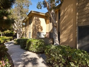 Elan Solana Pointe in Solana Beach, CA - Building Photo - Building Photo