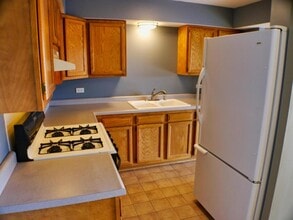 4827 W 109th St in Oak Lawn, IL - Building Photo - Building Photo