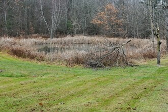 148 Farnham Rd in Conklin, NY - Building Photo - Building Photo