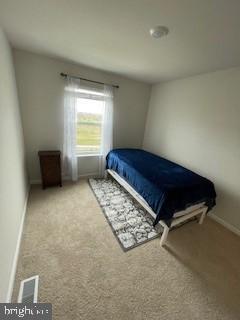 145 Tigney Dr in Stephens City, VA - Building Photo - Building Photo