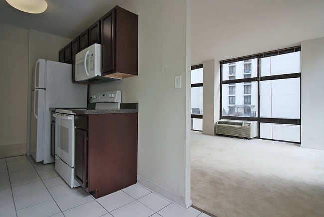 1202 N Stone St in Chicago, IL - Building Photo - Building Photo