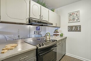 The Magnolia Apartment Homes in Chesterfield, MO - Building Photo