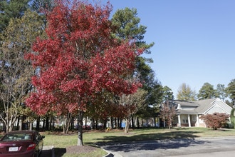 Terrace View Apartments in Colonial Heights, VA - Building Photo - Other