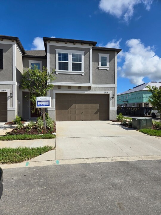 10812 Fanning Spgs Ct in Tampa, FL - Building Photo