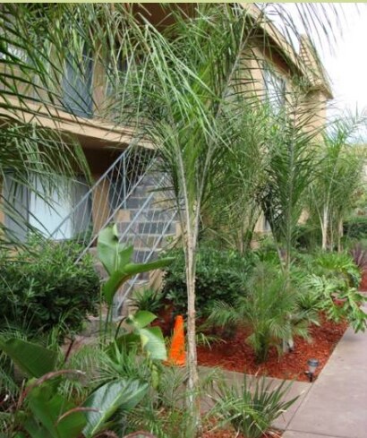 Bay Palms Apartment in San Diego, CA - Building Photo - Building Photo