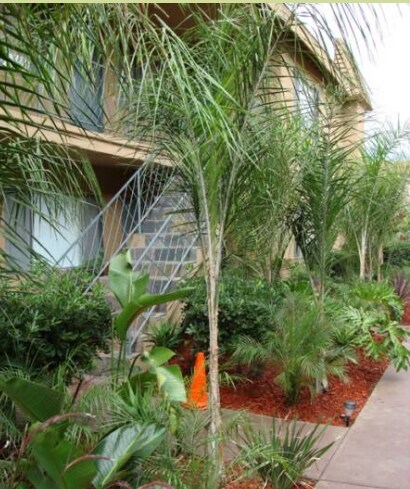 Bay Palms Apartment in San Diego, CA - Foto de edificio - Building Photo