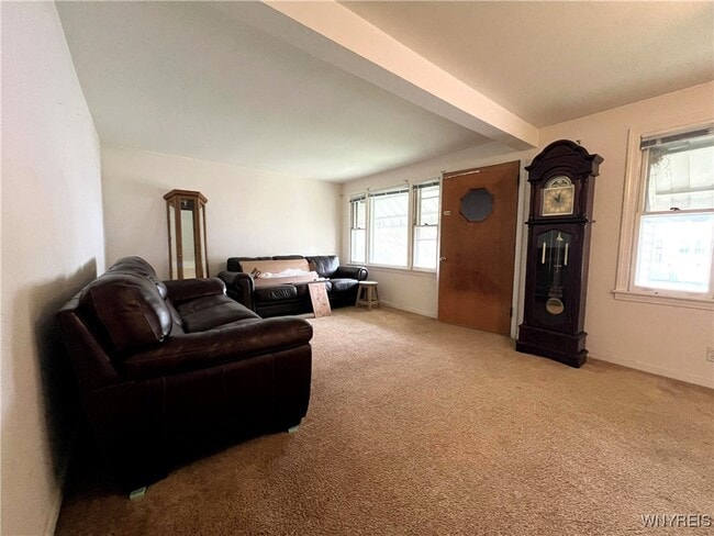 118 Chaplin Dr in Buffalo, NY - Building Photo - Building Photo