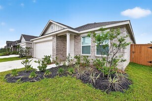 2623 American Ruby Dr in Rosharon, TX - Building Photo