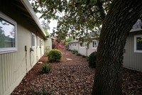 Oak Ridge Apartments in Sonoma, CA - Foto de edificio - Building Photo