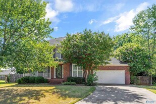 115 Medicine Bend Ct in Madison, AL - Building Photo