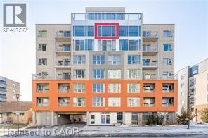 321 Spruce St in Waterloo, ON - Building Photo