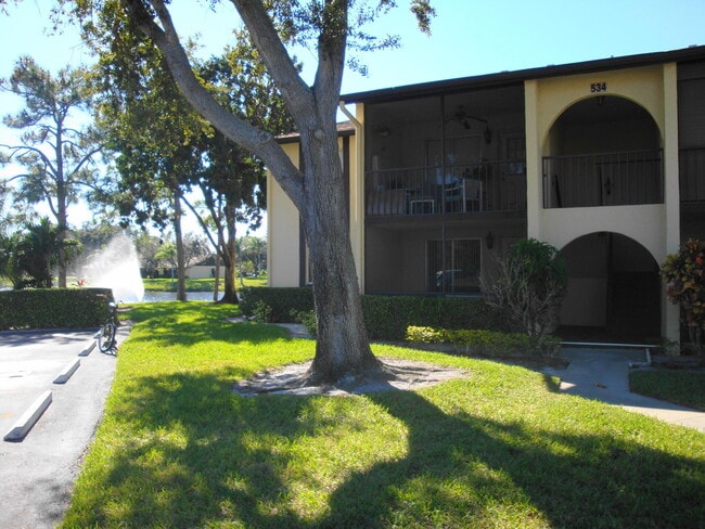 property at 523 Shady Pine Way