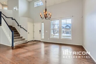 4565 Larksong Dr in Castle Rock, CO - Building Photo - Building Photo