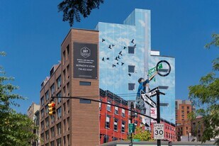 267 Pacific St in Brooklyn, NY - Building Photo