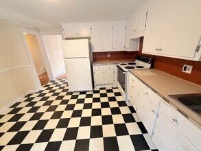 199 Mount Auburn St, Unit 1 in Cambridge, MA - Building Photo - Building Photo