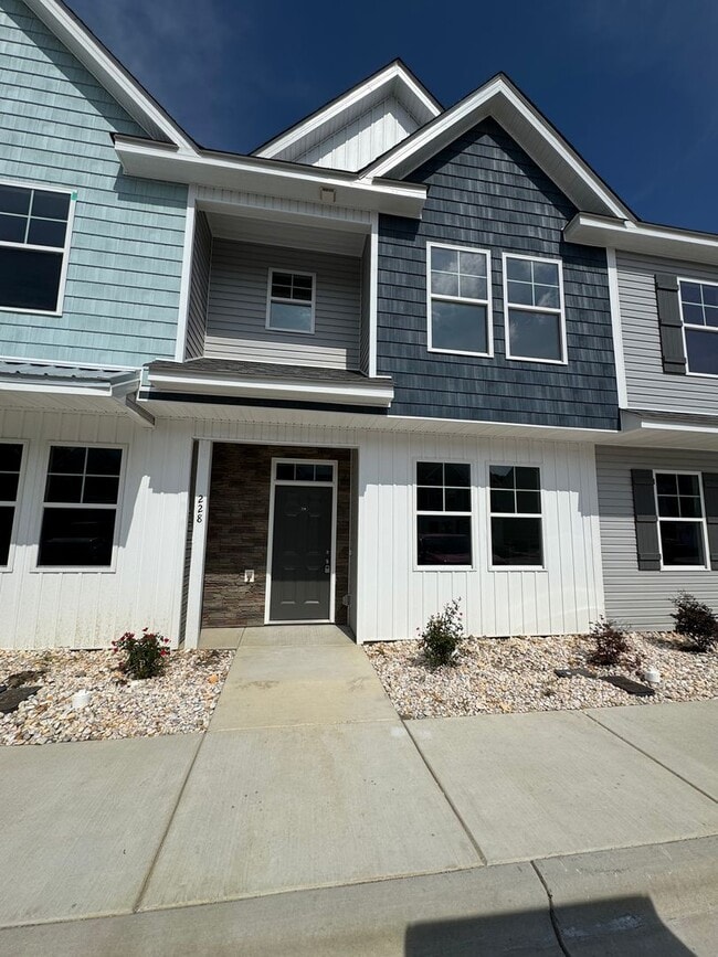 228 Sandy Cv Ln in Sneads Ferry, NC - Building Photo - Building Photo