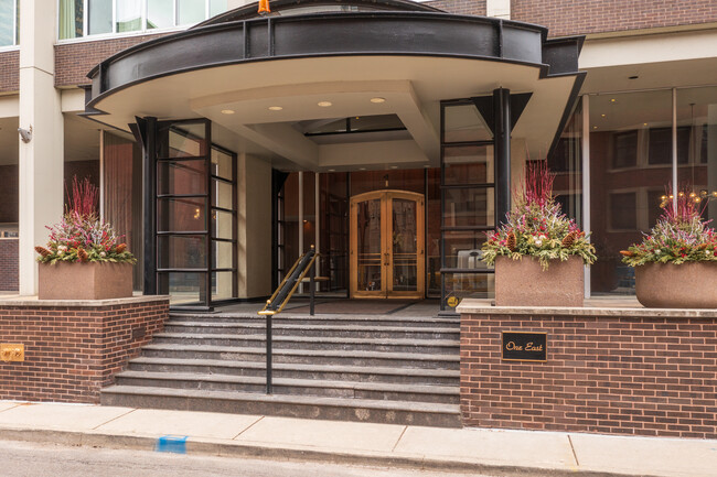 Schiller Tower in Chicago, IL - Building Photo - Building Photo