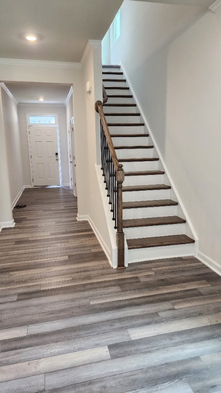 property at 1520 Foal Run Trl