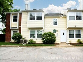 1251 Wyndham Dr in Palatine, IL - Building Photo