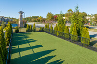 Silver Collection at Celebrate in Fredericksburg, VA - Foto de edificio - Building Photo