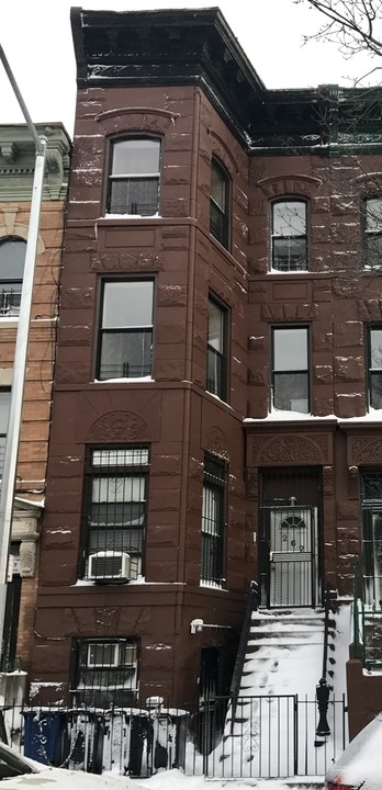 262 Vernon Ave in Brooklyn, NY - Foto de edificio