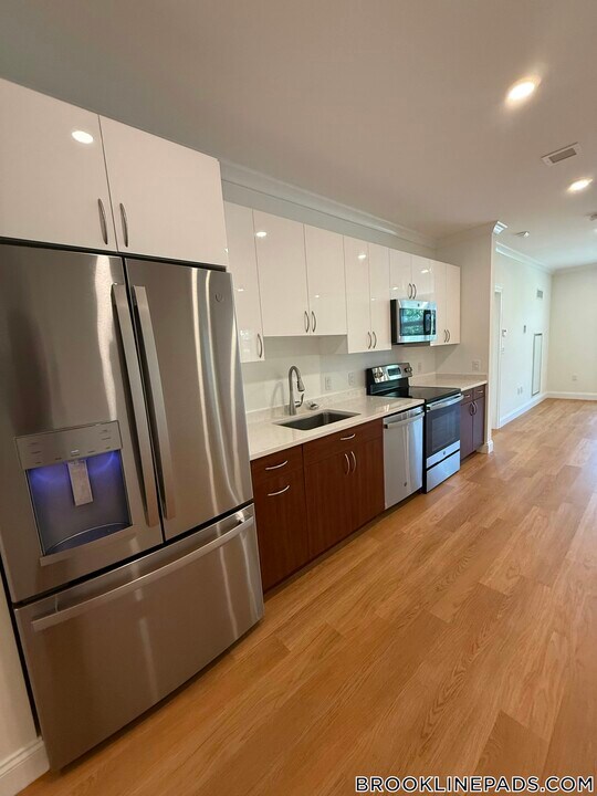 101 Asheville Rd in Brookline, MA - Building Photo