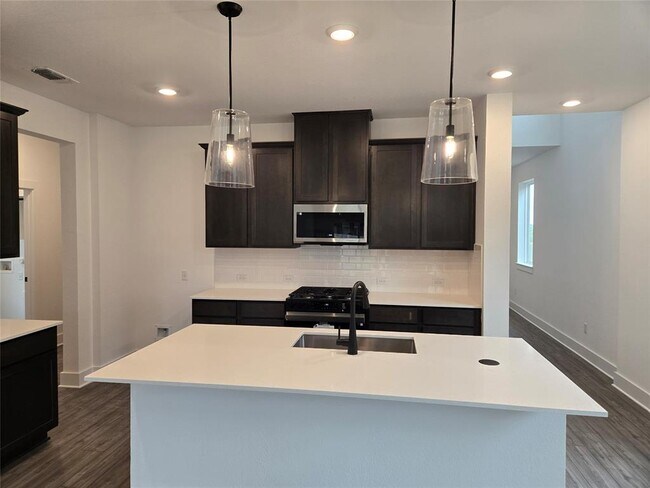 224 Langhorne Bnd in Liberty Hill, TX - Building Photo - Building Photo
