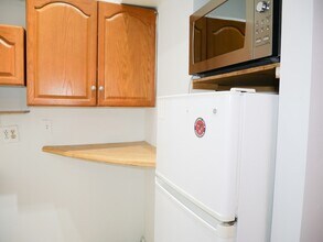 259 W Newton St in Boston, MA - Building Photo - Building Photo