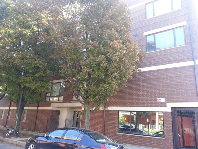 2357 W School St in Chicago, IL - Building Photo