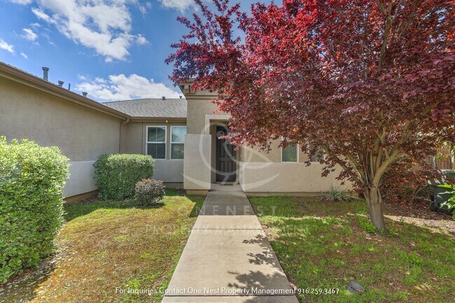 1746 Barney Ave in Olivehurst, CA - Building Photo - Building Photo