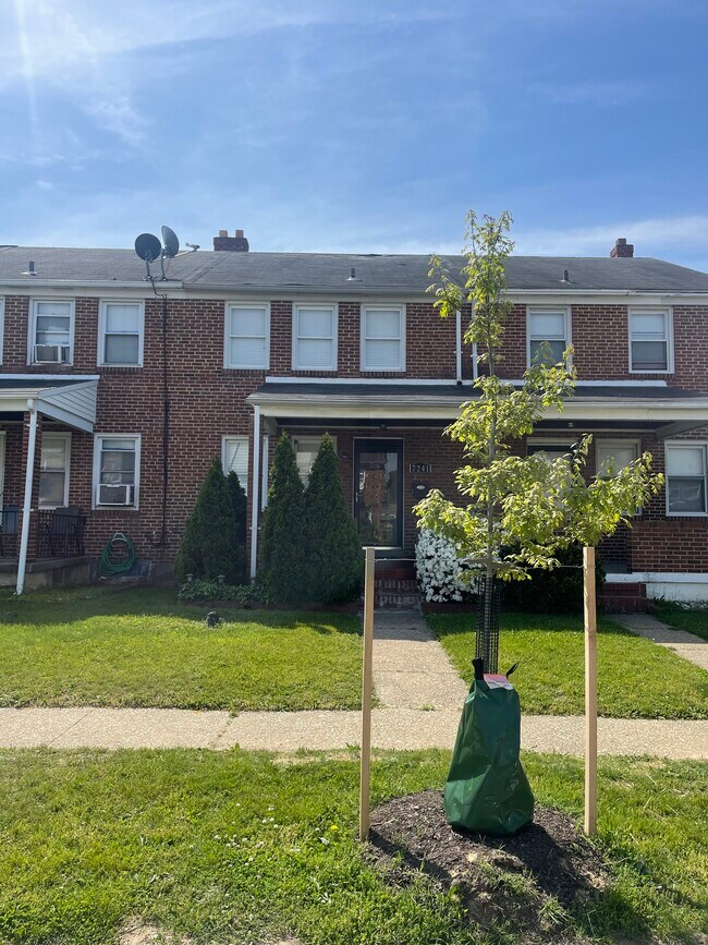 7241 Stratton Way photo'