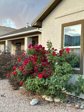 883 Vineyard Ave in Palisade, CO - Foto de edificio - Building Photo