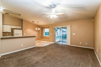 1204 Pongo Ln in Valrico, FL - Building Photo - Building Photo