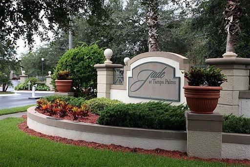 17102 Carrington Park Dr in Tampa, FL - Building Photo