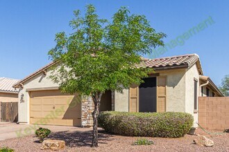 1116 E Ibis St in Gilbert, AZ - Building Photo - Building Photo